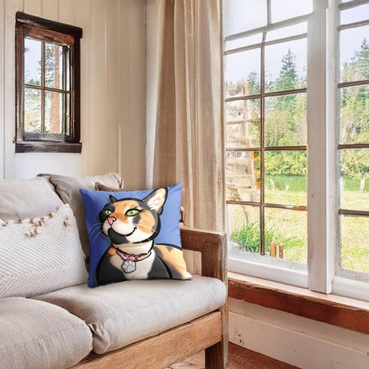 Pillow Cases